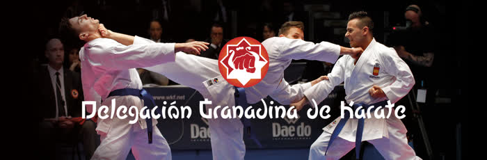 Delegación Karate Granada